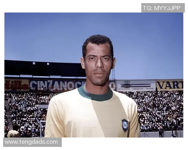 世界足球舞台上的杨姓球星：盘点那些闪耀的足球传奇人物